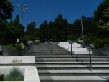 white concrete staircase near green trees during daytime